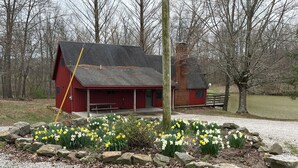 A red cabin with a covered porch, surrounded by a garden of daffodils and rocks. - Private, cozy cabin on 13 acres with two ponds (Bloomfield)
