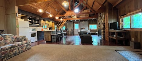Smart TV, fireplace, DVD player, video library