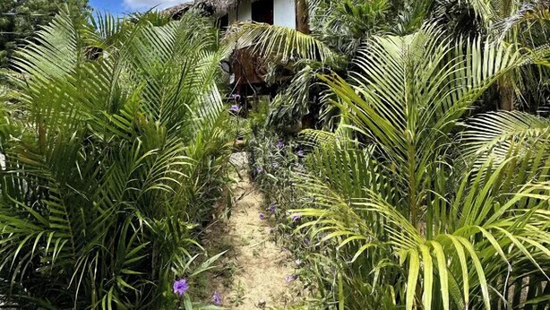 Unclassified image, 1 of 59, button - Popoyo Casa Manglar (Tola)