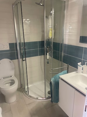 Hair dryer, towels, toilet paper
