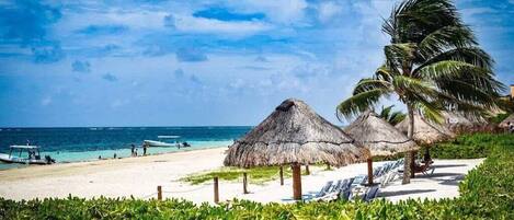 Sun loungers, beach towels