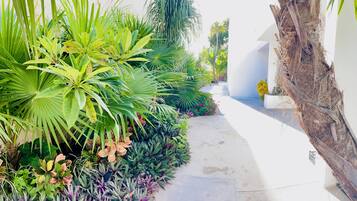 Jardines del alojamiento