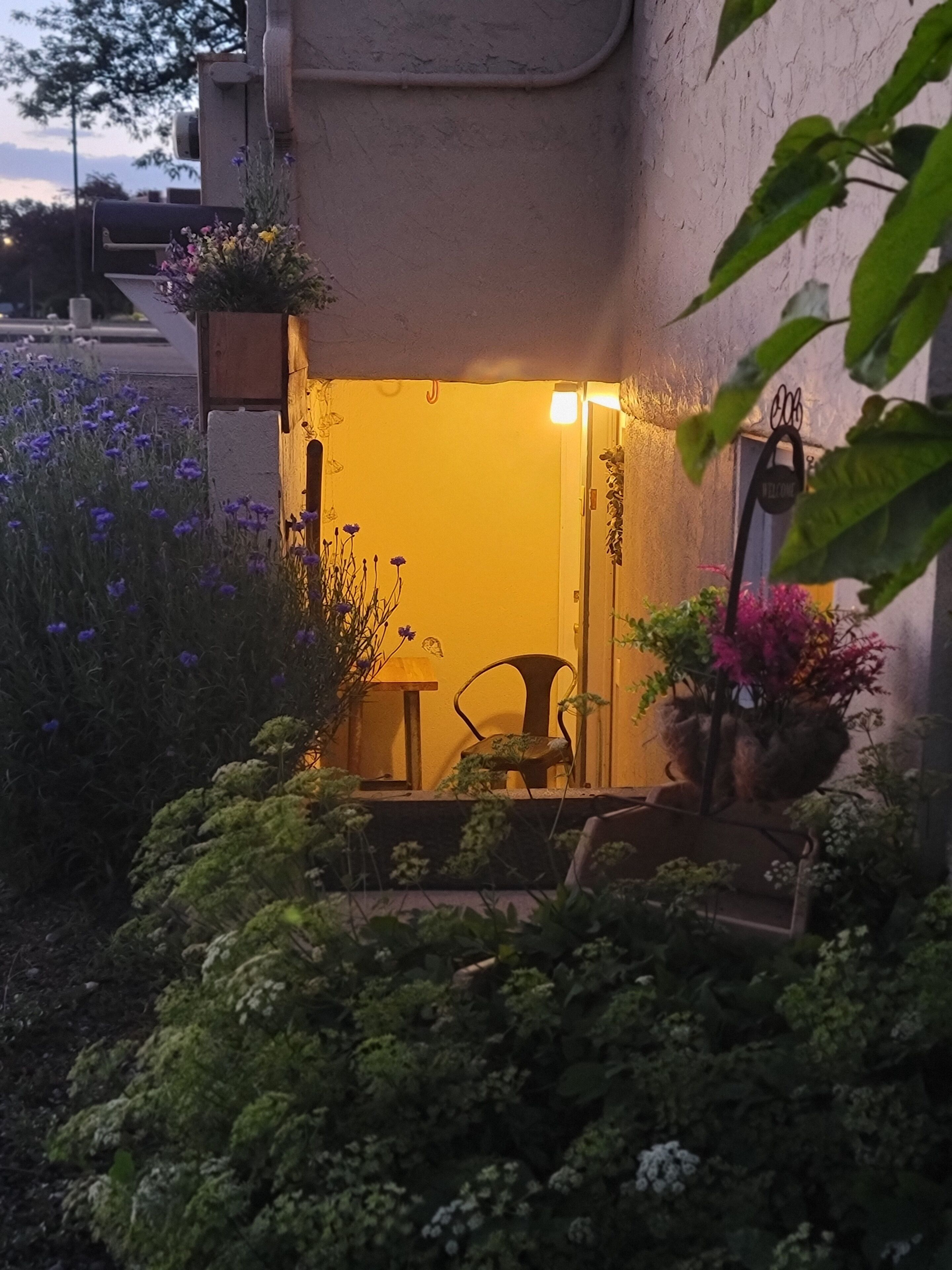 Un espace extérieur accueillant, aménagé avec une table et des chaises, et entouré d’une végétation luxuriante et de plantes en fleurs.