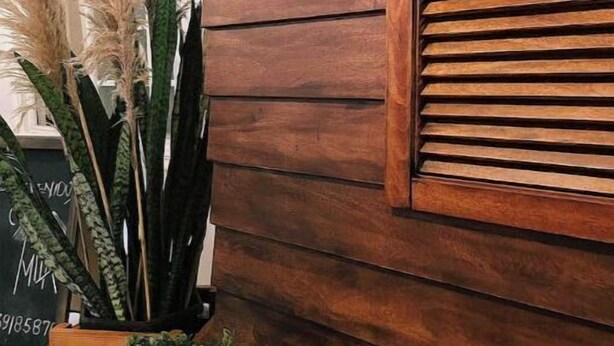 Pared de madera con tablones horizontales y una ventana con contraventanas blancas. Hay plantas en macetas con follaje verde y pastos altos.