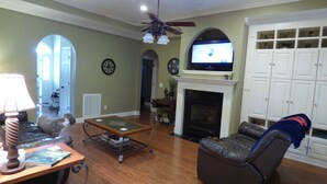 A living room with a fireplace, television, and a dog.