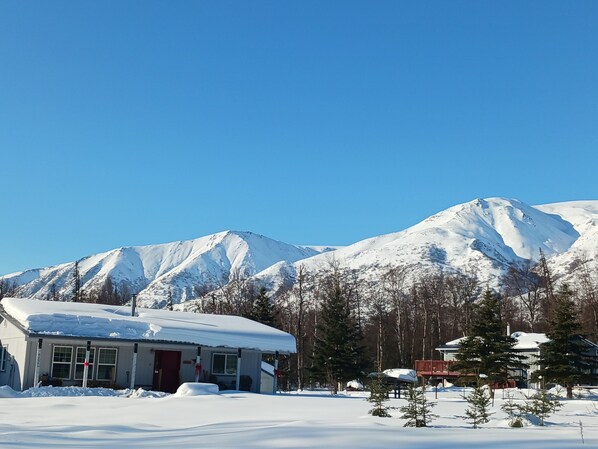 Exterior - Hatcher Pass retreat for you and your four legged friends! (Palmer)