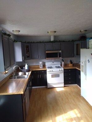 Private kitchen - Hatcher Pass retreat for you and your four legged friends! (Palmer)