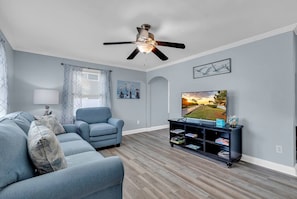 TV