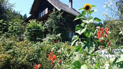 Elephant house at the edge of the forest, own spring water