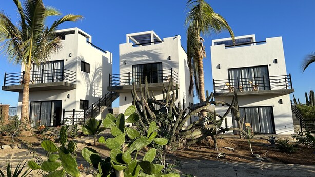 Un bâtiment moderne doté de balcons, entouré de cactus et de palmiers.