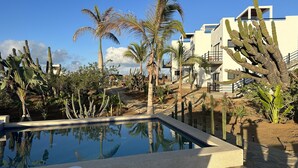 Une piscine entourée de cactus et de palmiers, avec un bâtiment moderne en arrière-plan.