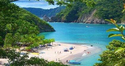 Paradise Found! Spacious Tropical Private Retreat!