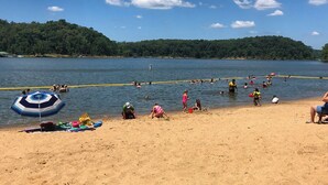A beach with people swimming and playing in the water, a sandy shore, and a forested hill in the background.
