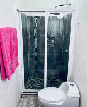Hair dryer, towels, soap, toilet paper - Complete Apartment Near the Malecon and the Beach (Puerto Vallarta)