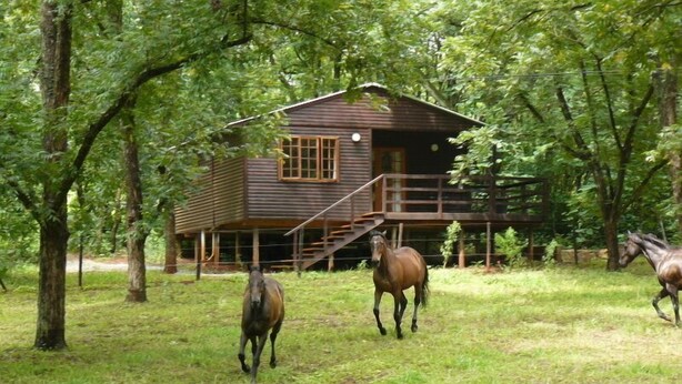 A wooden cabin with a porch and a staircase leading to a deck. - Buhleni Farm & Chalets (Lobamba)
