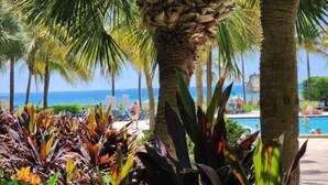 A resort with a pool, palm trees, and tropical plants. - Luxe Oceanfront Condo in Hollywood Beach (Hollywood)