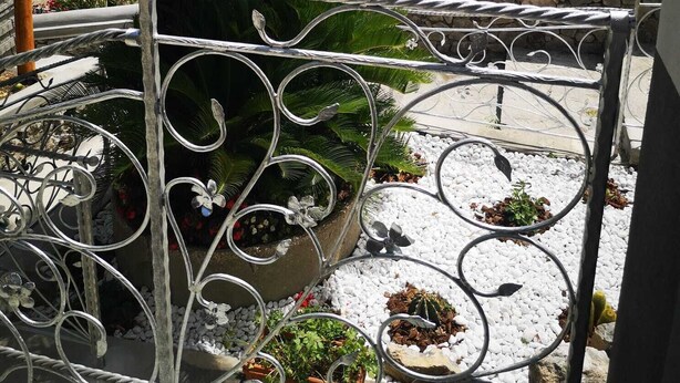 A balcony with a view of the sea, a palm tree, and potted plants.