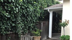 A wooden deck with a round table and chairs, surrounded by potted plants and a dense green hedge. - FUN at the beach and park with Family & Friends! (Santa Barbara)