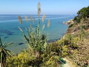 On the beach - WATERFRONT VILLA SEAHORSE BAY- HALIKOUNAS (Chalikounas)