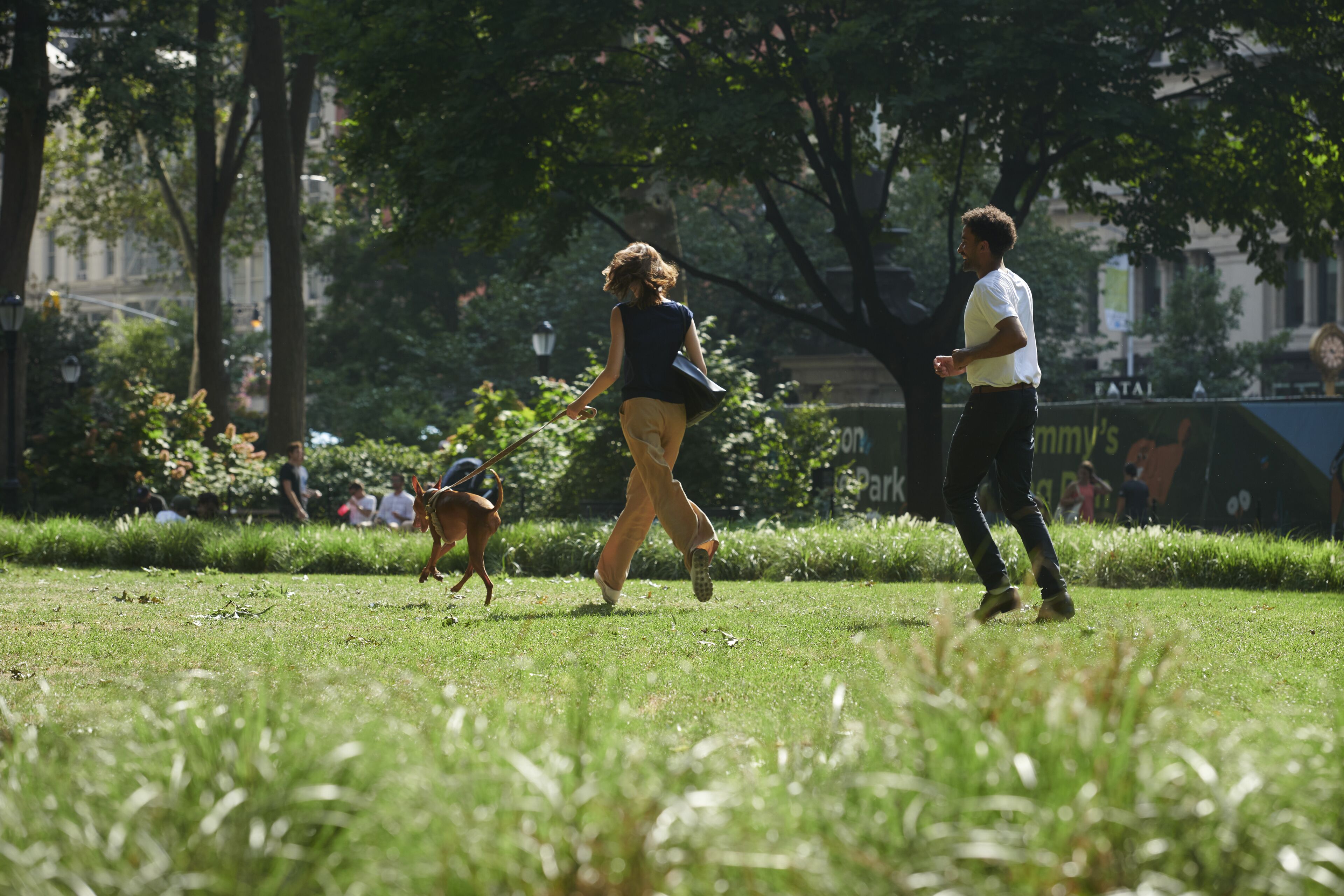 A park with grass, trees, and people walking.