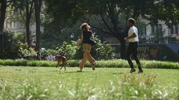 A park with grass, trees, and people walking.