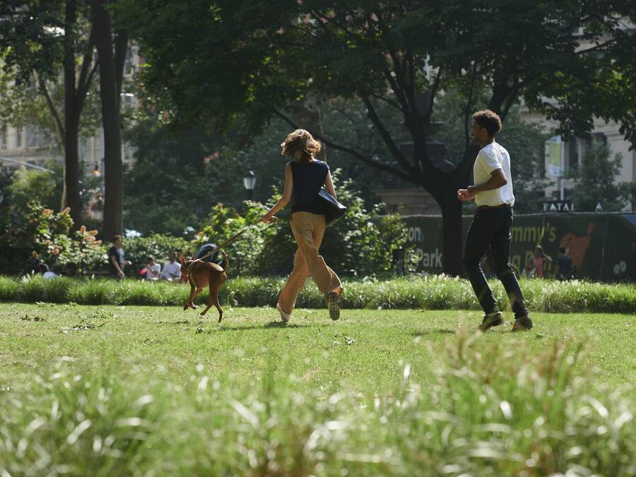 A park with grass, trees, and people walking.