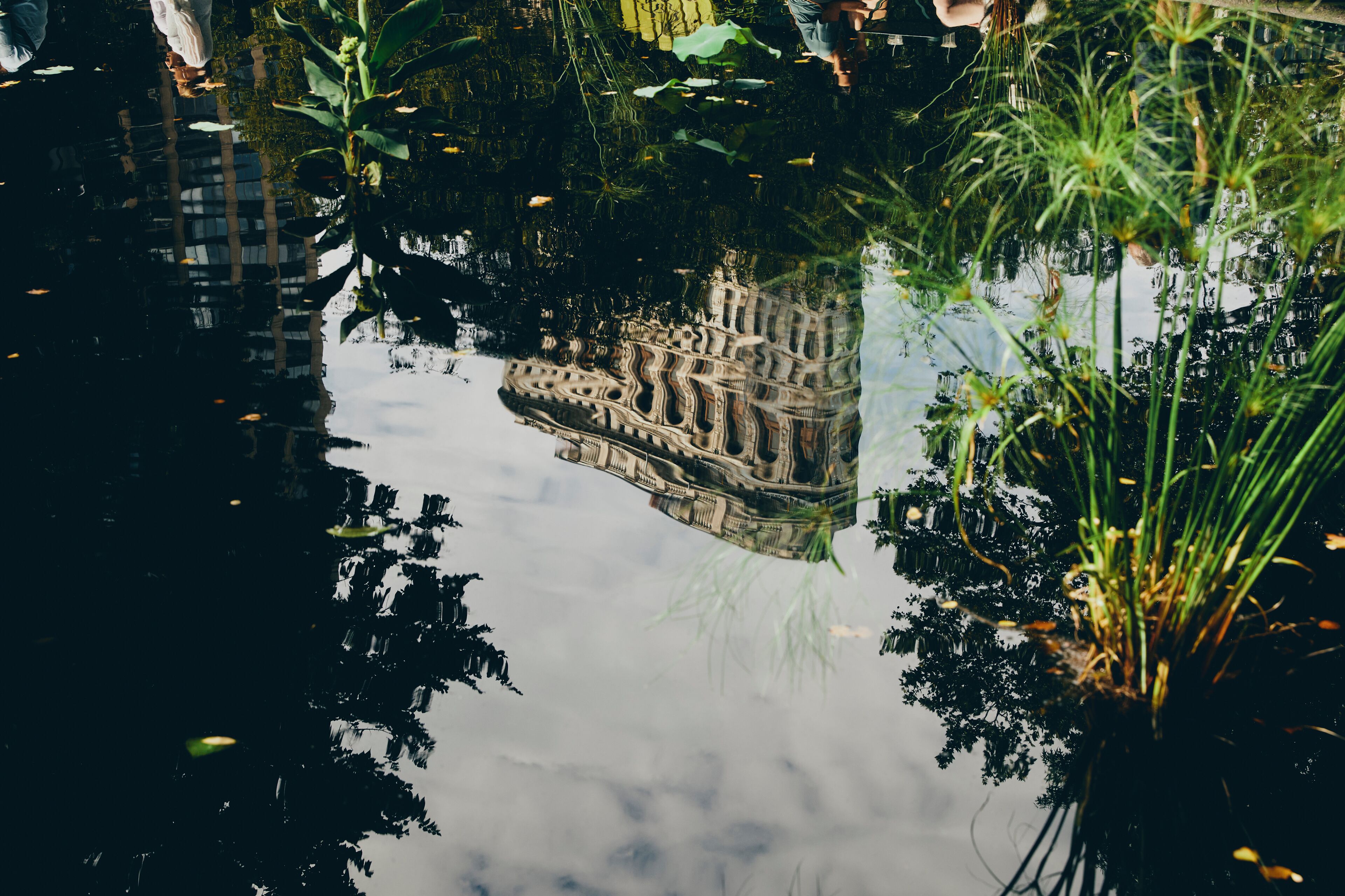 A reflection of a building in a calm body of water surrounded by greenery.