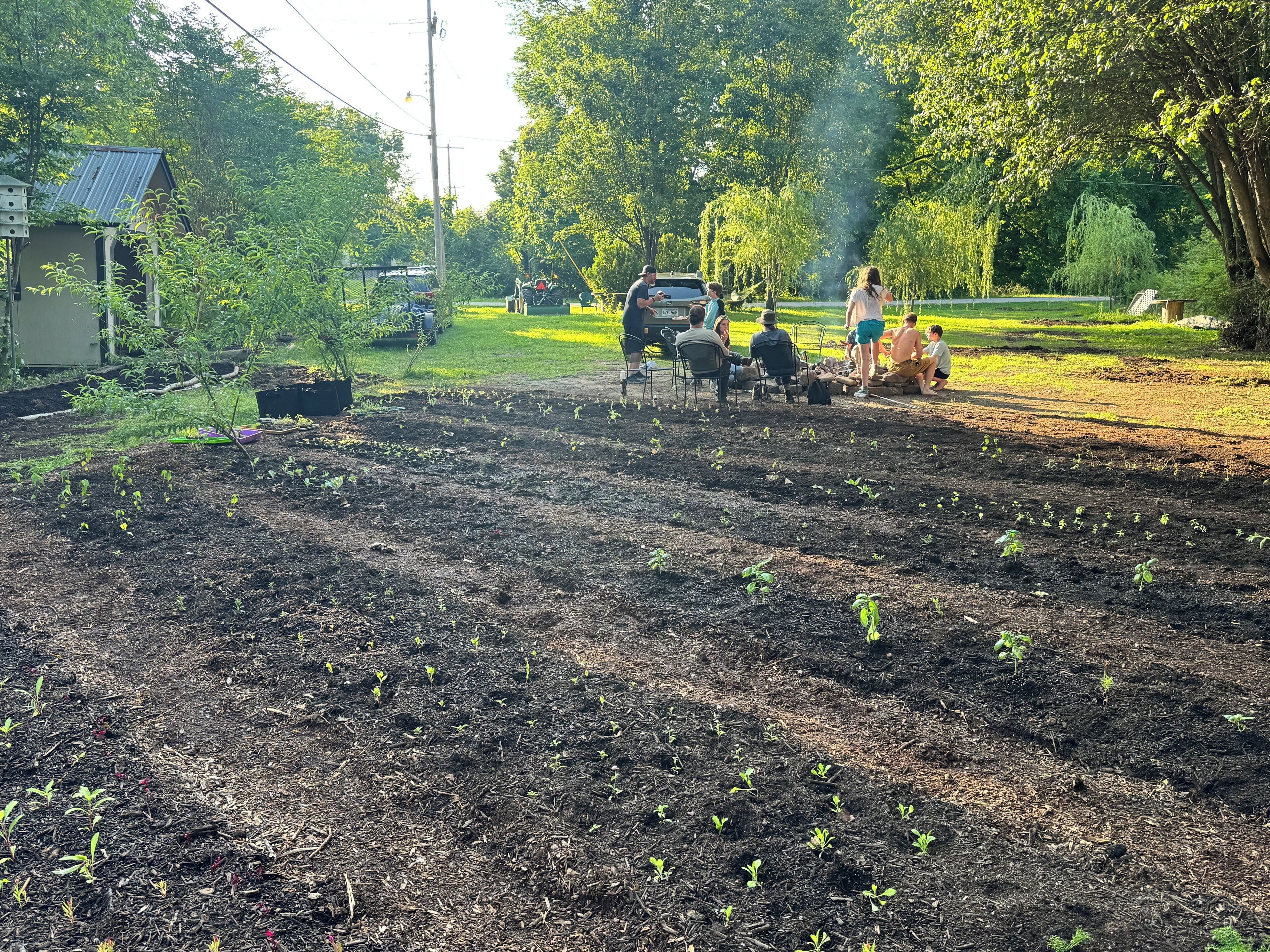 A garden with young plants and a parked vehicle.