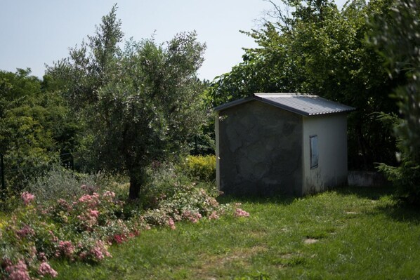 Parco della struttura