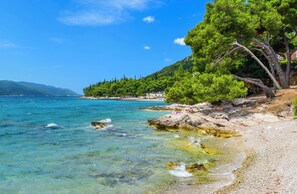 A clear coastal beach with rocky terrain, a pebble beach, and dense green trees. - Studio with sea view and terrace (Orebić)