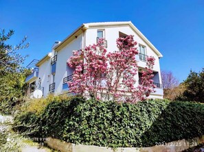 Exterior - Holiday apartment with sea view and terrace (Orebić)