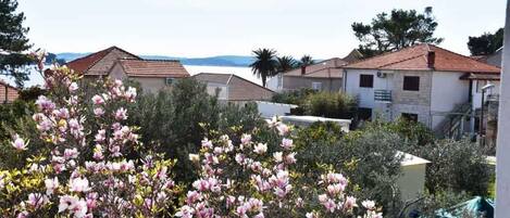 Terrain de lâhĂ©bergement