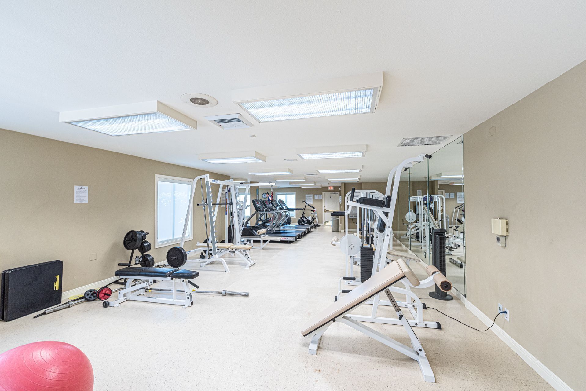 Un gimnasio con diversos equipos de ejercicio, incluyendo cintas de correr, máquinas de pesas y pesas libres.