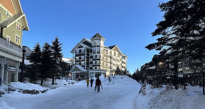 Mountain Lodge #327! Remodeled kitchen! Only yards away from Ballhooter lift!