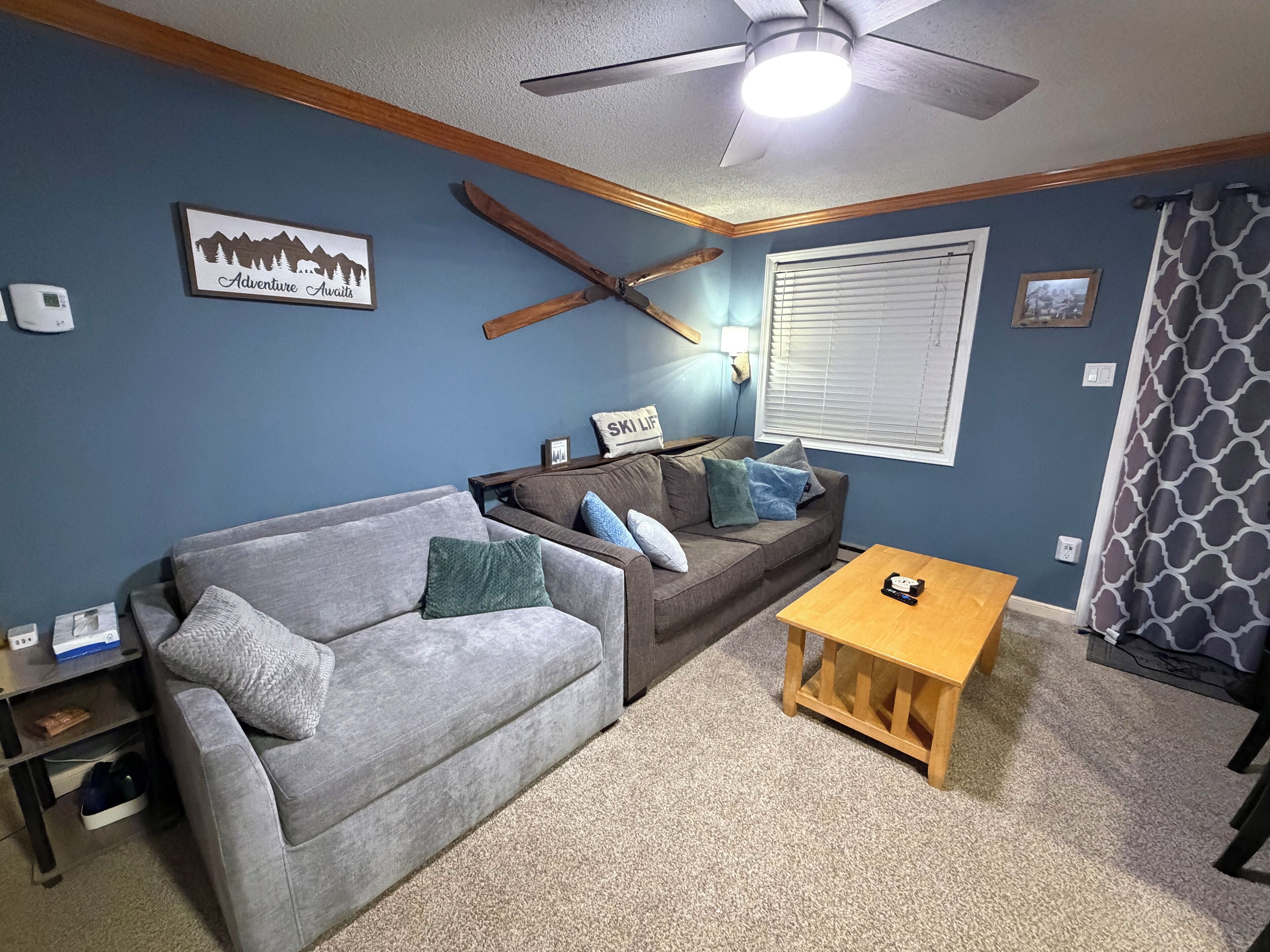 Smart TV, DVD player, ping pong, computer monitors