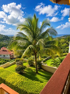 A lush garden with a prominent palm tree, well-maintained hedges, and a view of a coastal landscape.