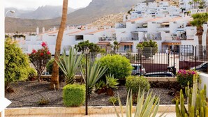 A residential area with white buildings, a palm tree, and cacti. - 21 C Apartamento Las Bouganvillas (Costa Adeje)