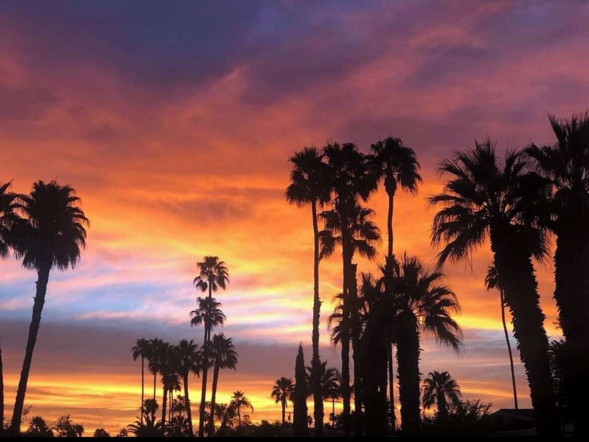 A sunset with palm trees silhouetted against a colorful sky.