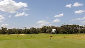 Een golfbaan met een vlaggenstok, zandbunkers en bomen op de achtergrond.