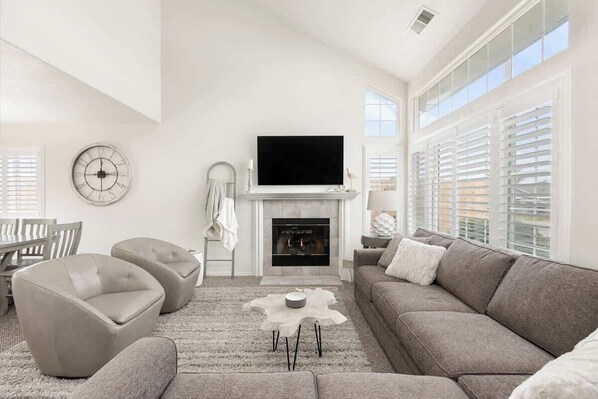 TV, fireplace, video games, books