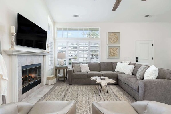 TV, fireplace, video games, books