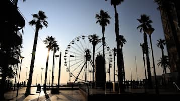 A Ferris wheel with palm trees and a walkway.