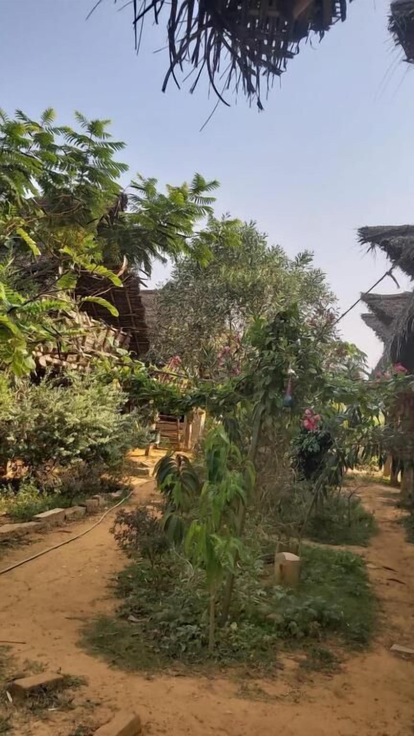 Escena de un pueblo rural con chozas de techo de paja, un sendero de tierra y vegetación exuberante.
