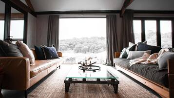 TV, fireplace, DVD player