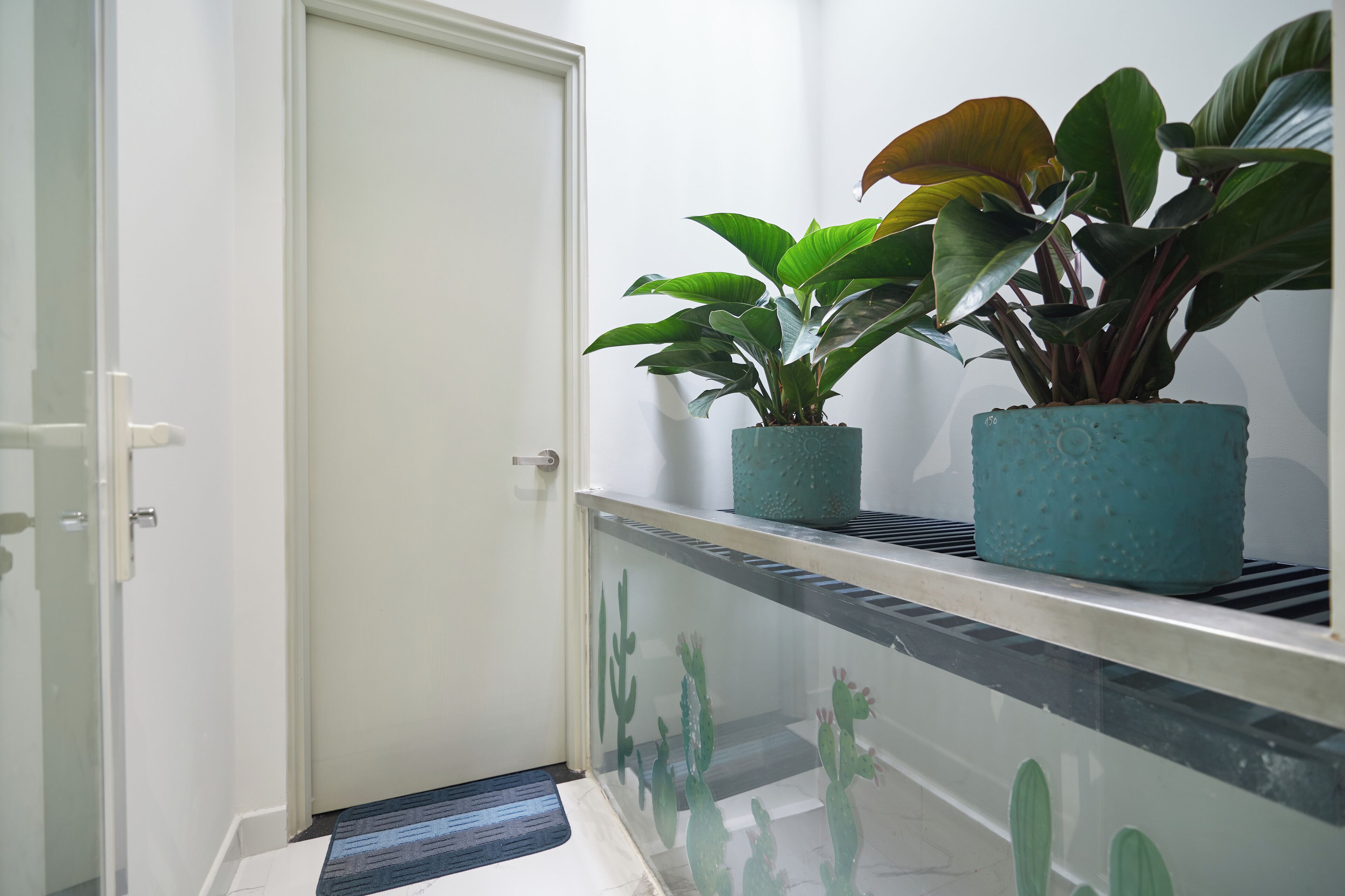 A hallway with a white door, a blue potted plant on a shelf, and a glass door with cactus designs.