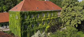 The gallant Yellow at Schloss Hollenburg
