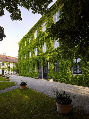 The gallant Yellow at Schloss Hollenburg