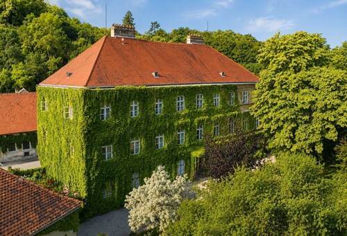 The gallant Yellow at Schloss Hollenburg