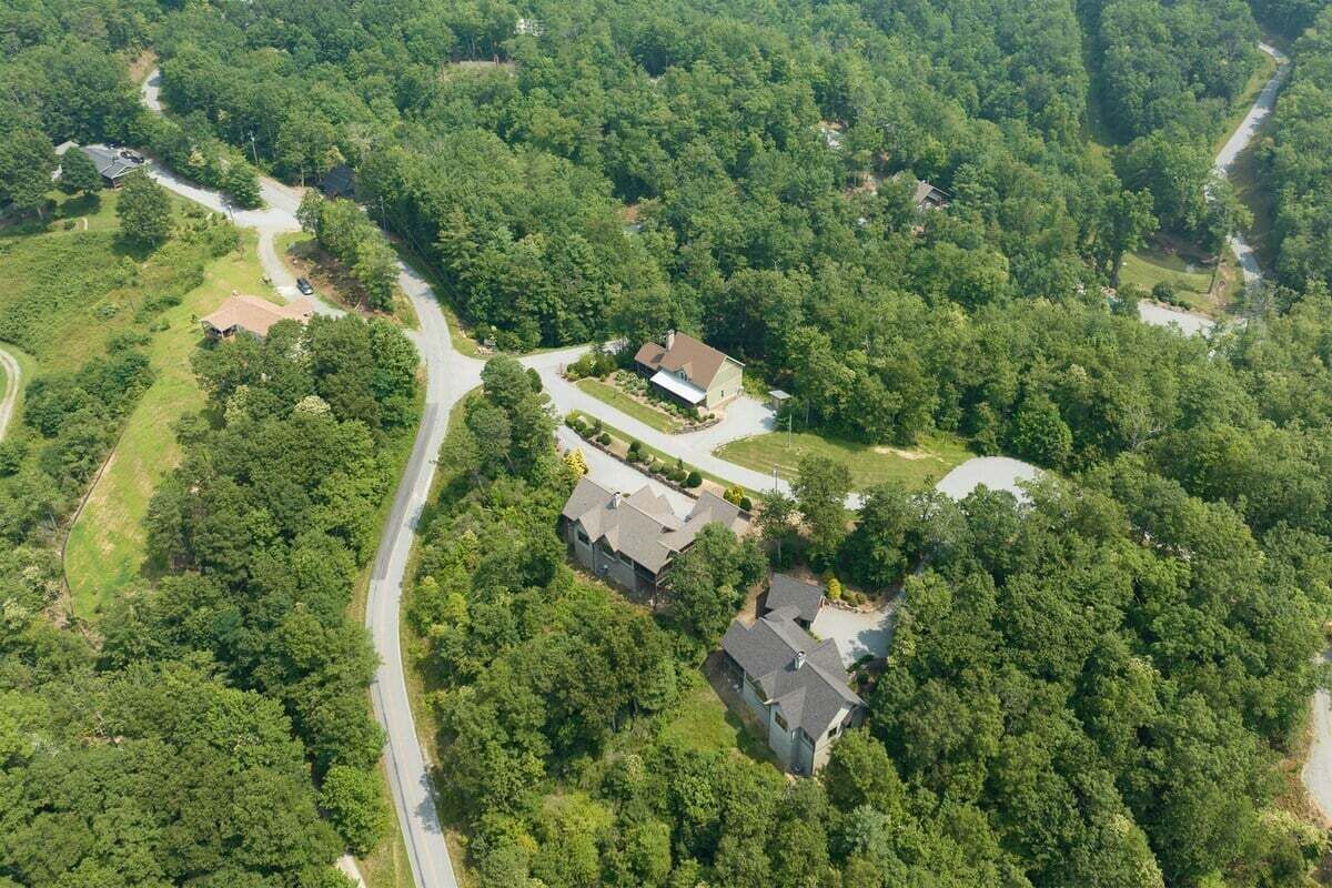 Vista aérea de una zona residencial con casas rodeadas de vegetación exuberante, un camino sinuoso y cielo despejado.