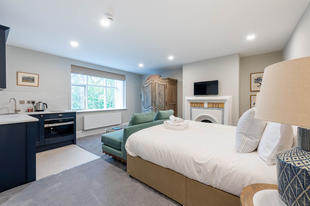 Een moderne slaapkamer met een bed, een bank, een televisie, een open haard en een keukenhoek.